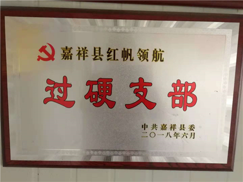 荣誉资质